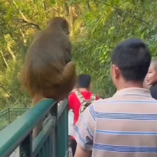 😠