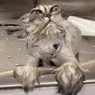 😠