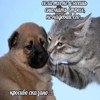 😭