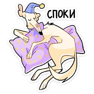 😴