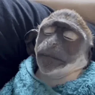 😴