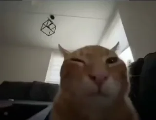 🤨