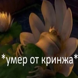 😵