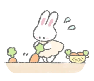 🐰