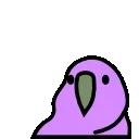🐦