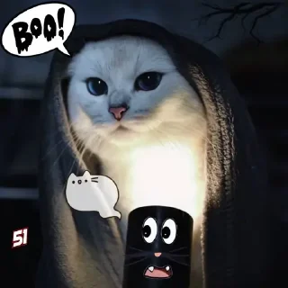 👻