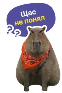 ❓