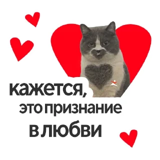 ❤️