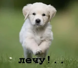 🏃‍♀
