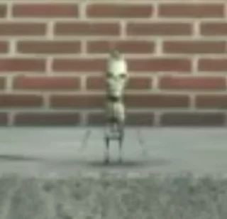 ☠