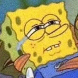 🧽
