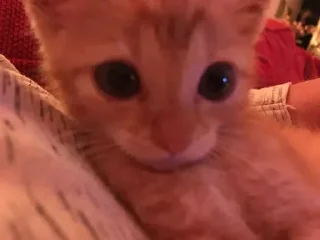 👀