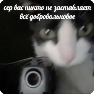 🔫