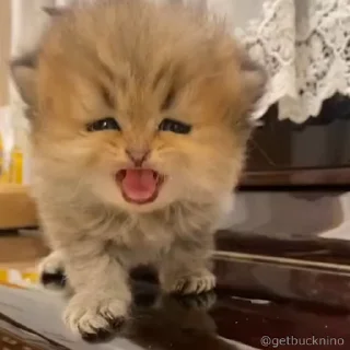 😩