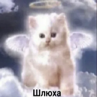 😇