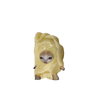 🥟