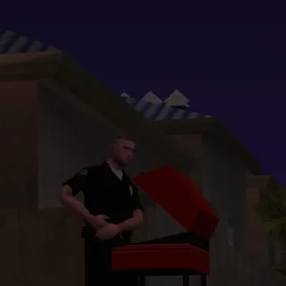 💲