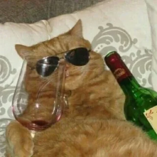 😎