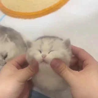 🥰