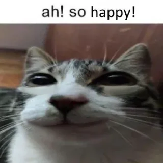 ☺️