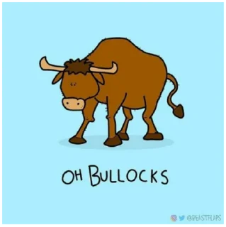 🐂