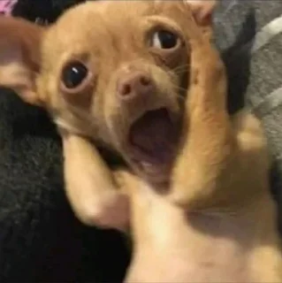 🤩