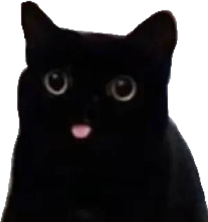 😛