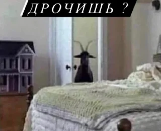 🤚