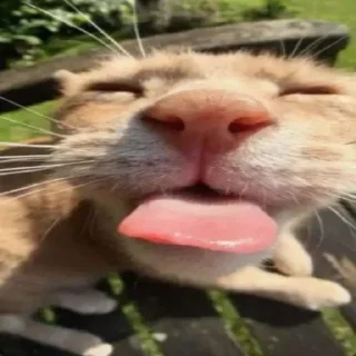 😛