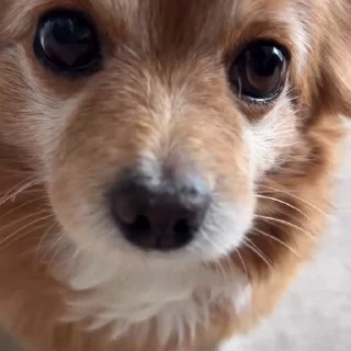 😳
