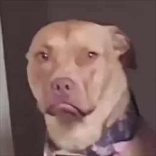 🥺