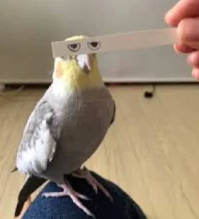 😑