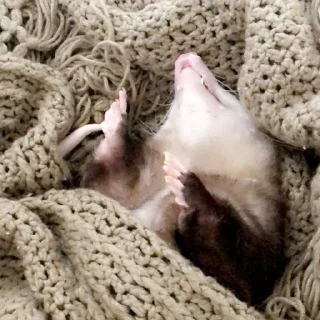😵