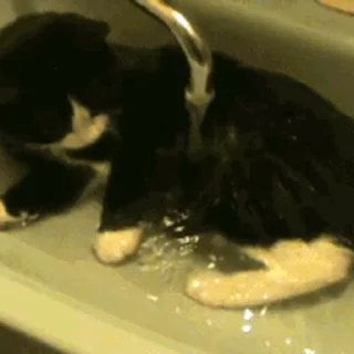 🛁