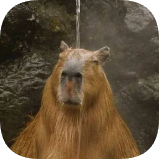 🚿