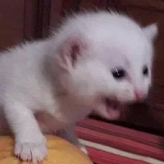 🤬