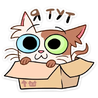 📦