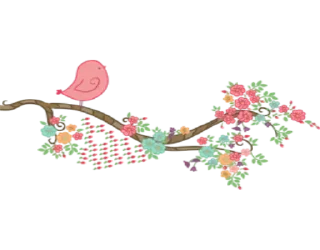 Separator Bird Animal @PunjabiSticker