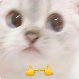 👉