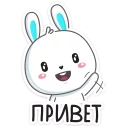 Кролик - @TgSticker