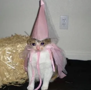 👸