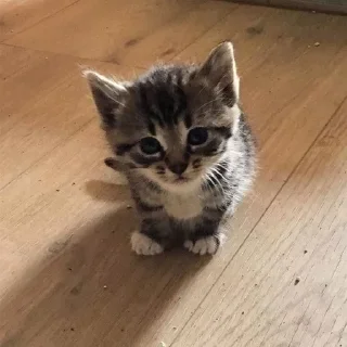 🍼