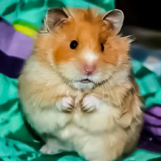 😵
