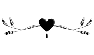 🖤
