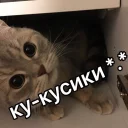 ✋