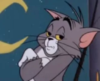 😼