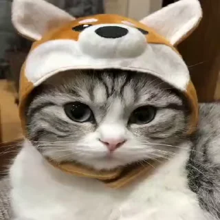 🐕
