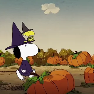🍀