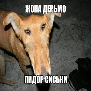🧐