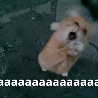 😱